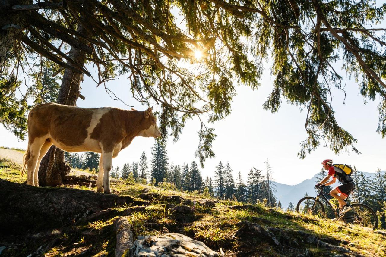 Pension Bergblick Ruhpolding Exteriör bild